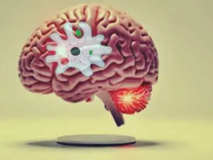 brain-eating amoeba